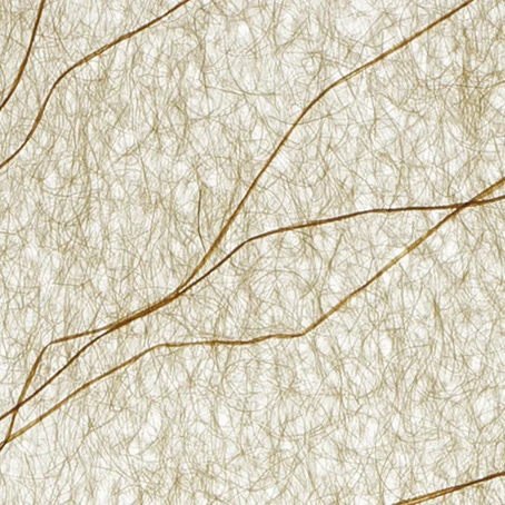 Branching fibres
