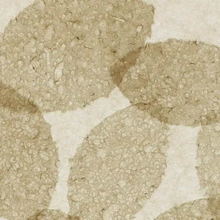 Organic clusters · KPU157
