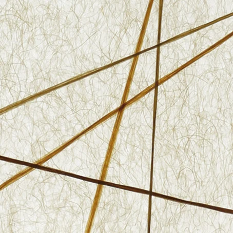 Fine intersecting lines · KPU163