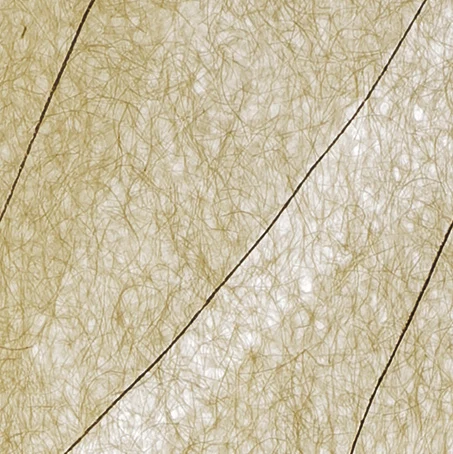 Diagonal strokes · KPU166