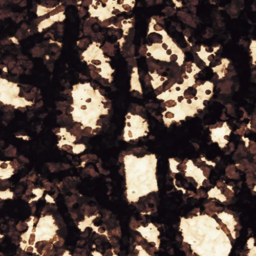Dark organic texture
