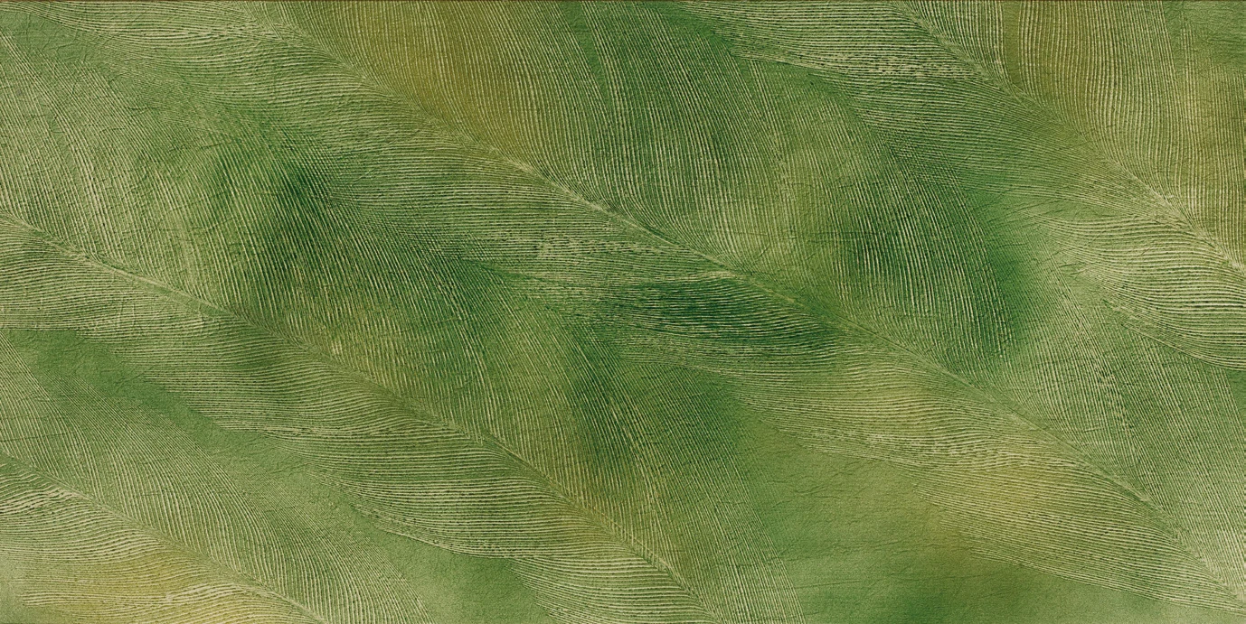 Nature · KA-P335