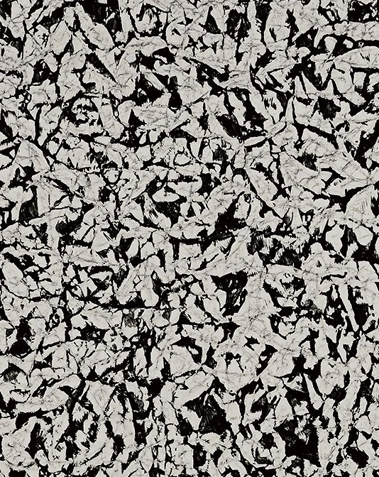 Scattered flecks · KPU552-3