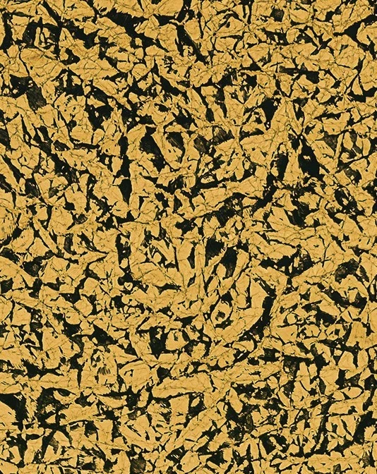 Scattered flecks · KPU552-5