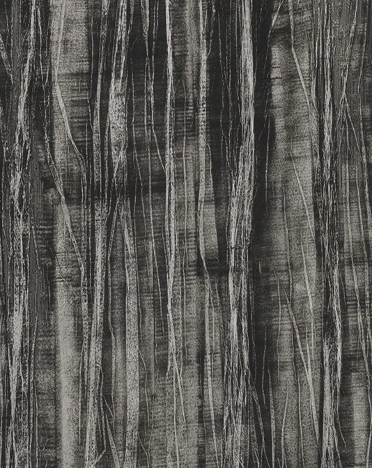 Vertical patina · KPU604-3