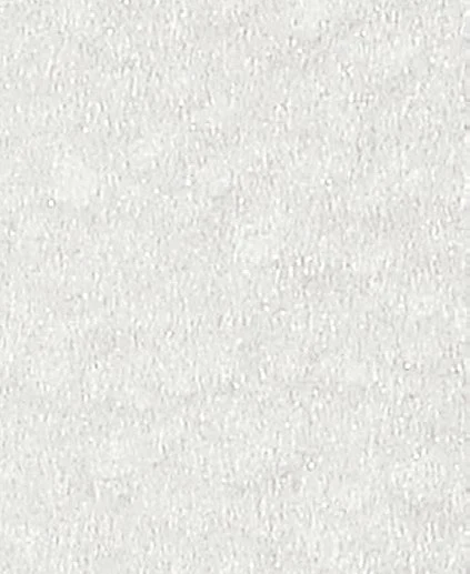 Soft neutral tones