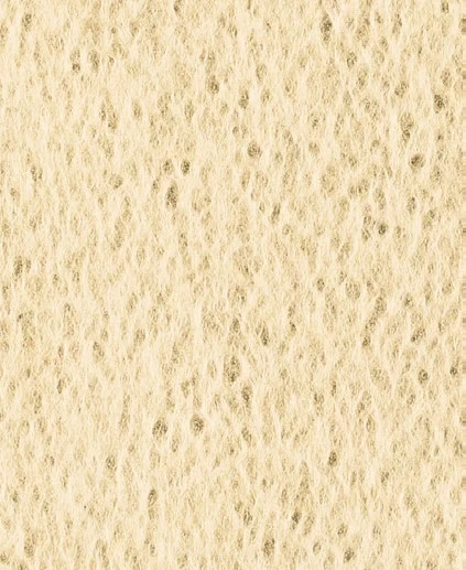 Warm mineral tones · KPU900-2
