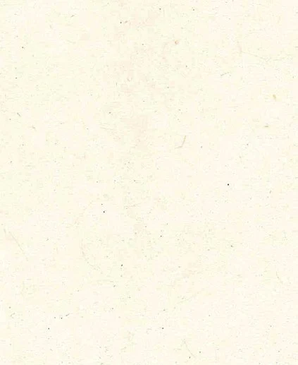 Torinoko & coated washi