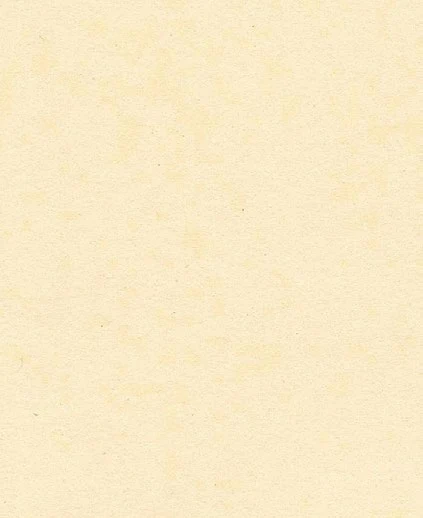 Torinoko & coated washi · KPU502-2