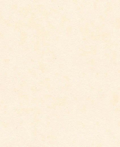 Torinoko & coated washi · KPU502-5